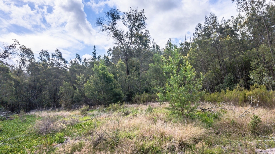 Commercial Property for Sale in Sedgefield Rural Western Cape